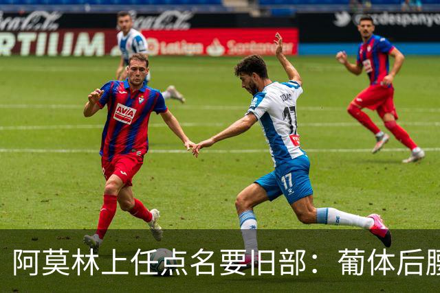 阿莫林上任点名要旧部：葡体后腰卖4500万，曼联放弃之人想转会